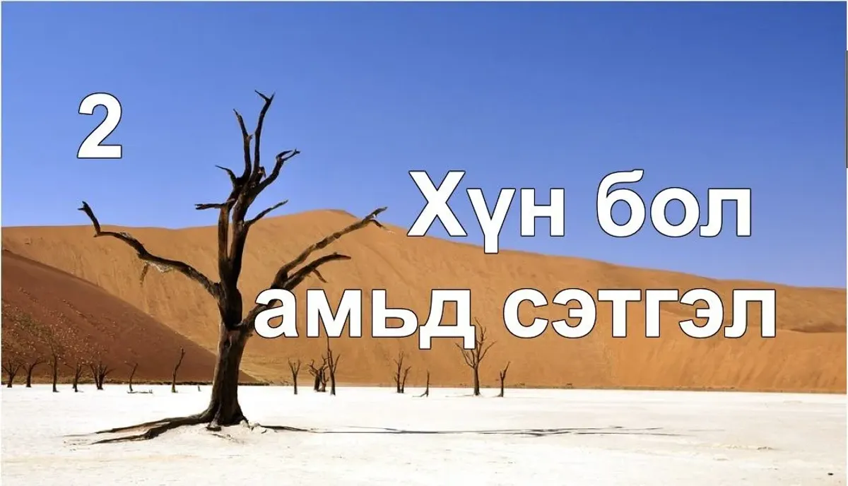 Хүн бол амьд сэтгэл