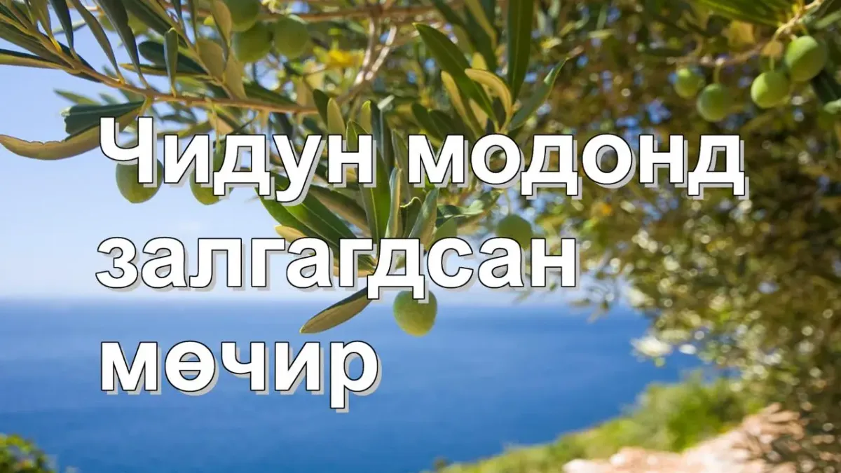 Христийн Бие Израилд залгагдсан мөчир мөн үү?